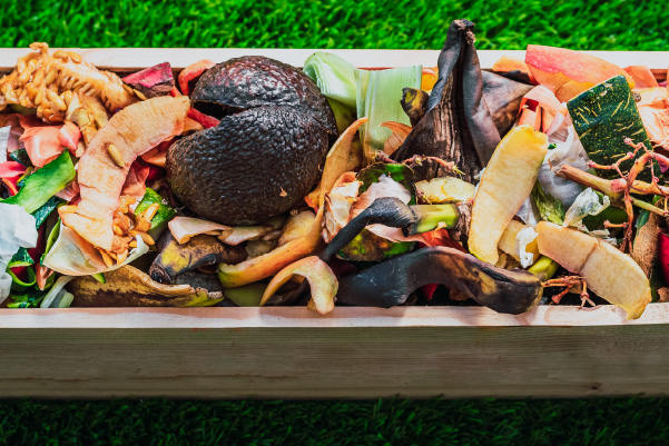 Compost Image