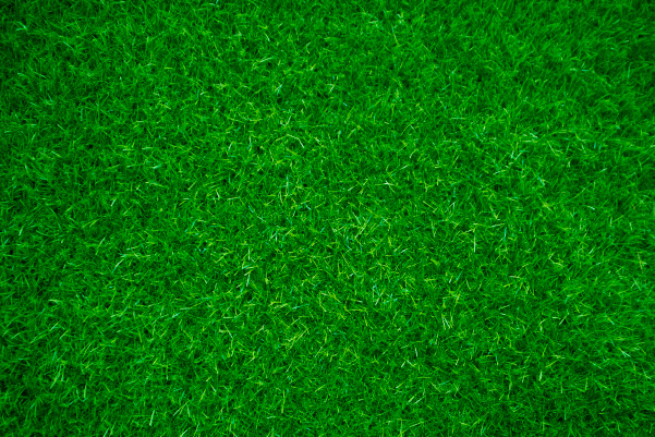 Healthier Grass