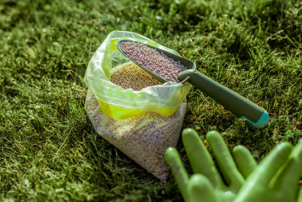 Natural Fertilizer-Only Policy Image
