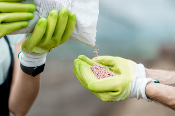 Seasonal Specific Fertilizers Image