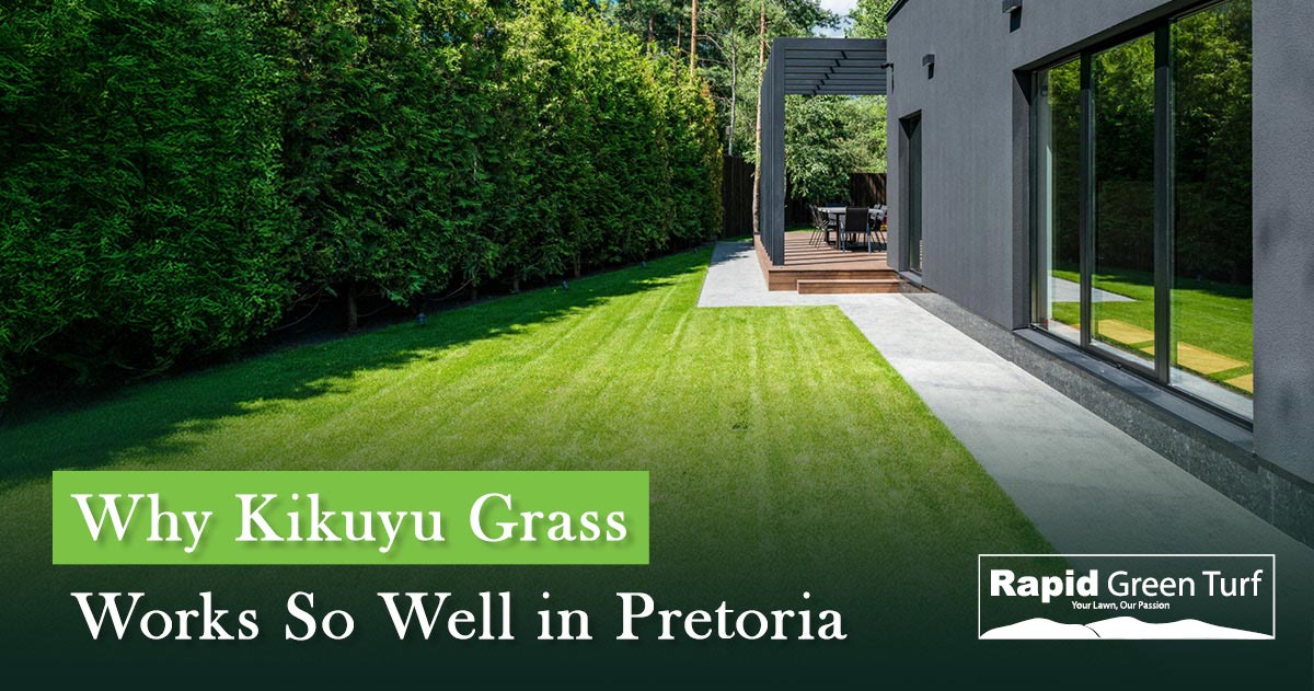 RGT-Post-Instant-Lawns-in-Pretoria-2