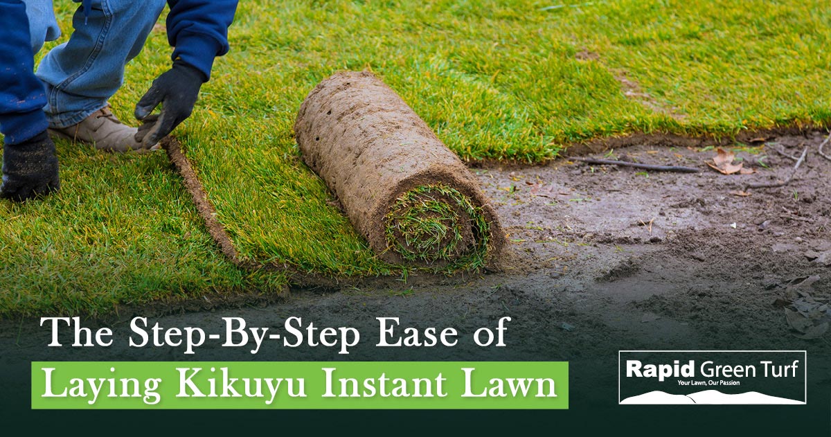 RGT-Post-Instant-Lawns-in-Pretoria-5