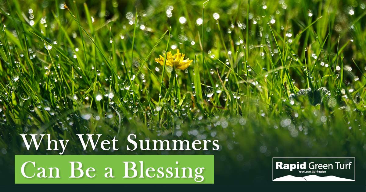 RGT Post Wet Summer 4