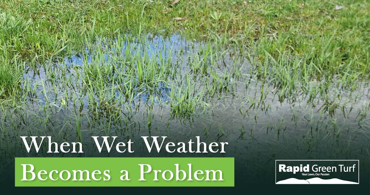 RGT Post Wet Summer 7