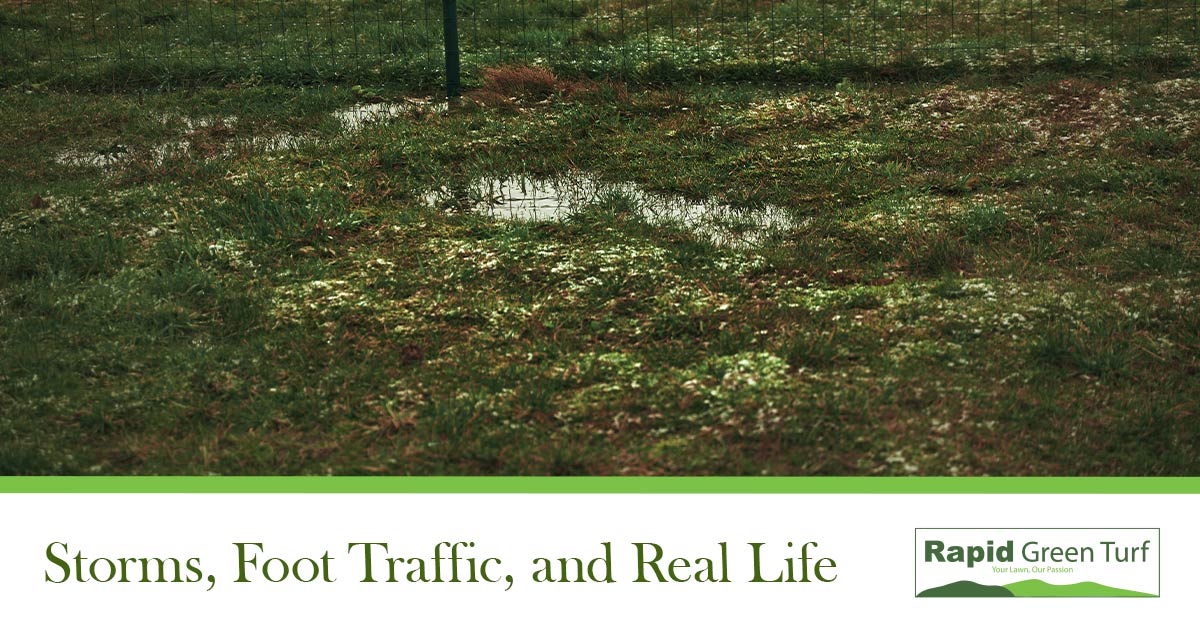 RGT-Blog-Surviving-Summer-Lawns-2.3