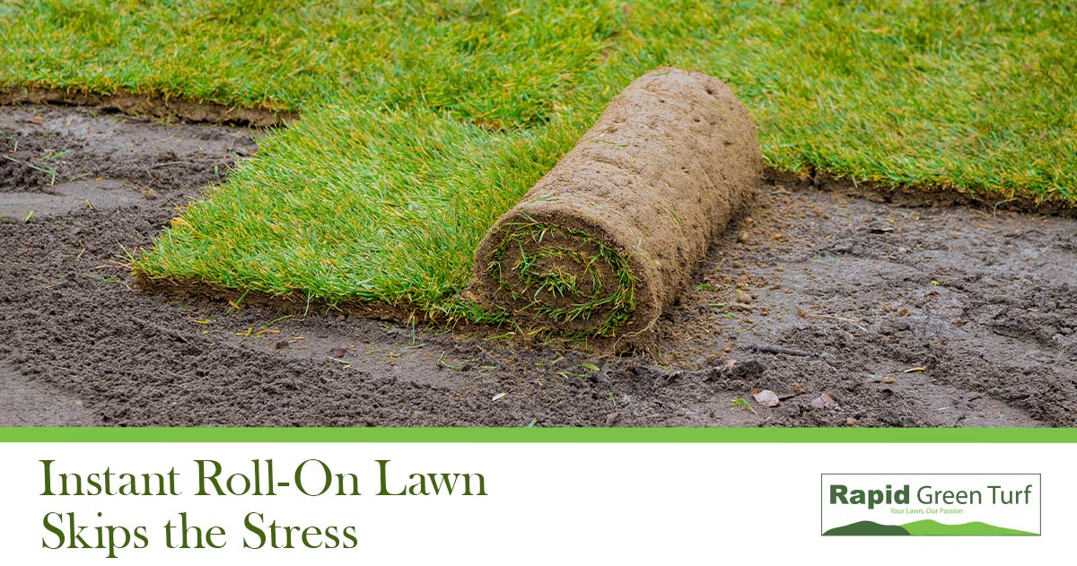 RGT-Blog-Surviving-Summer-Lawns-2.5