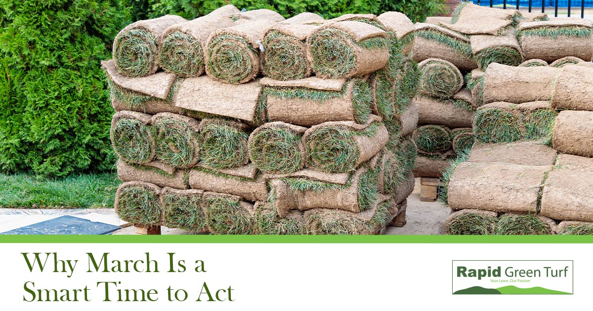 RGT-Blog-Post Late Summer Lawns 3