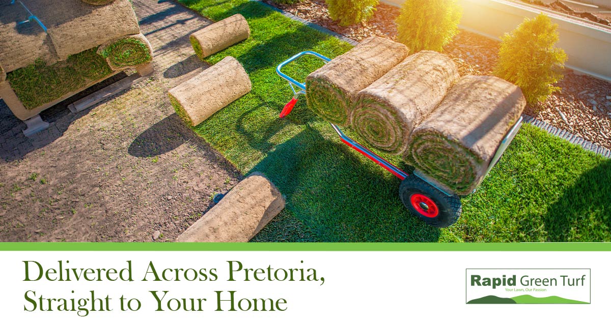 RGT-Blog-Post Late Summer Lawns 7