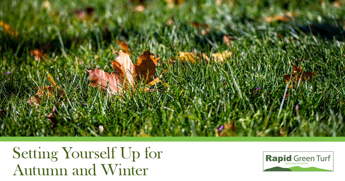 RGT-Blog-Post Late Summer Lawns 8