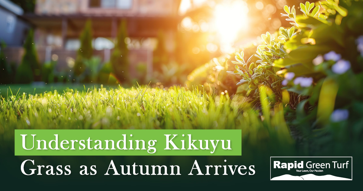 RGT-Blog-Post-Kikuyu-Lawn-Care-in-Autumn-2.2