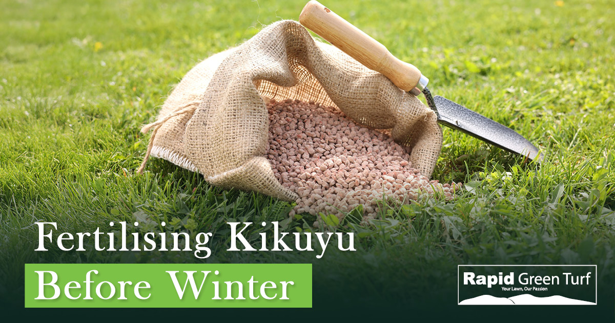 RGT-Blog-Post-Kikuyu-Lawn-Care-in-Autumn-2.4