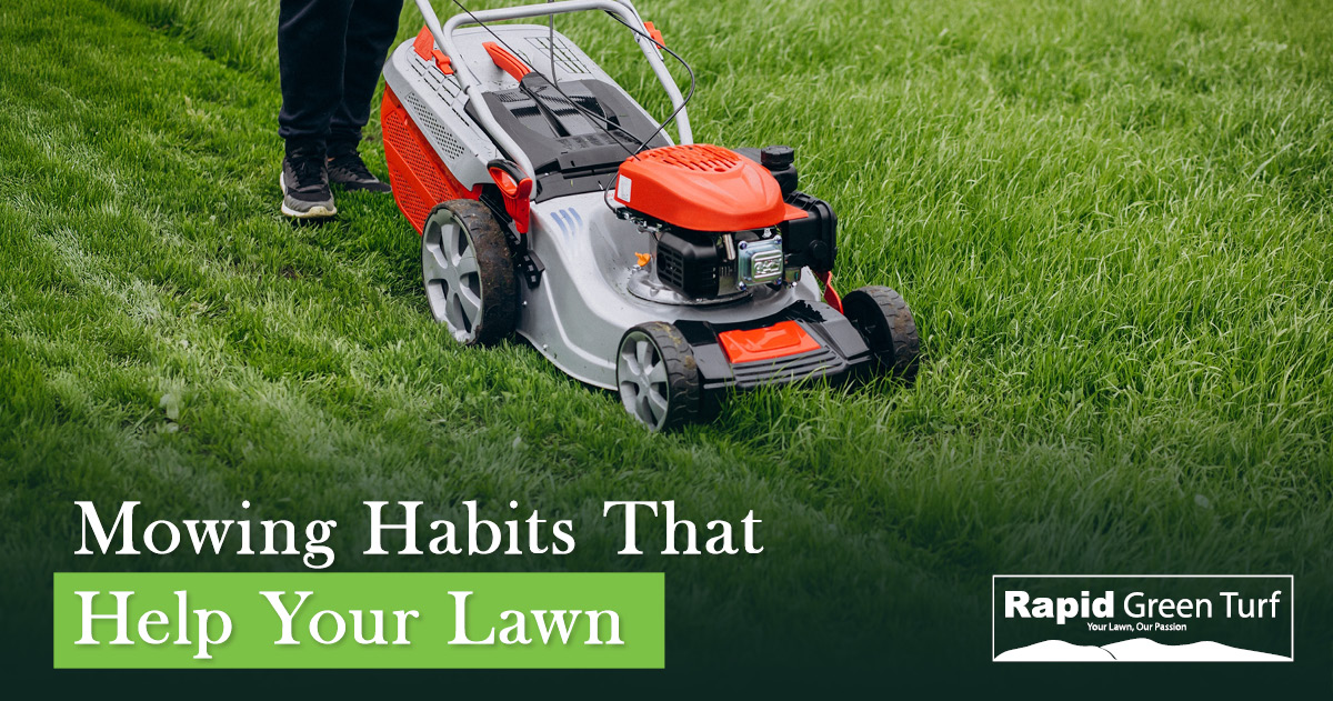 RGT-Blog-Post-Kikuyu-Lawn-Care-in-Autumn-2.5