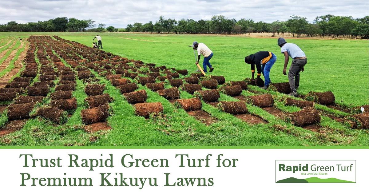 RGT-Blog-Post-Winter-Kikuyu-Lawn-Care-10