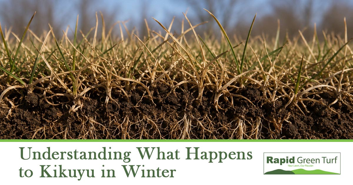 RGT-Blog-Post-Winter-Kikuyu-Lawn-Care-2