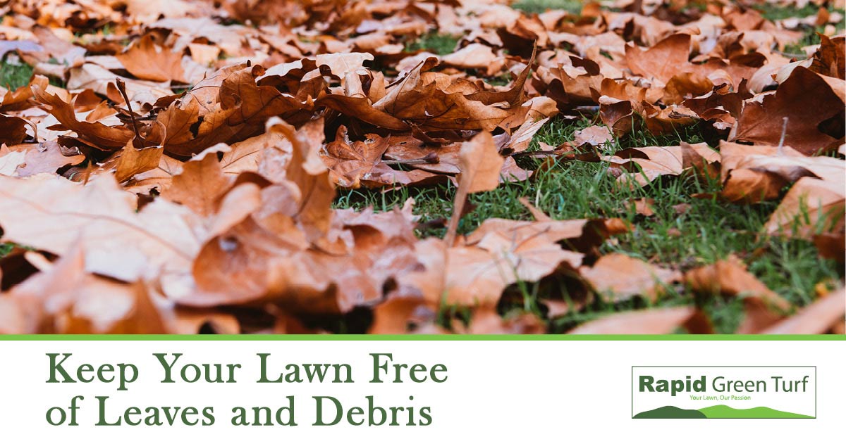 RGT-Blog-Post-Winter-Kikuyu-Lawn-Care-5