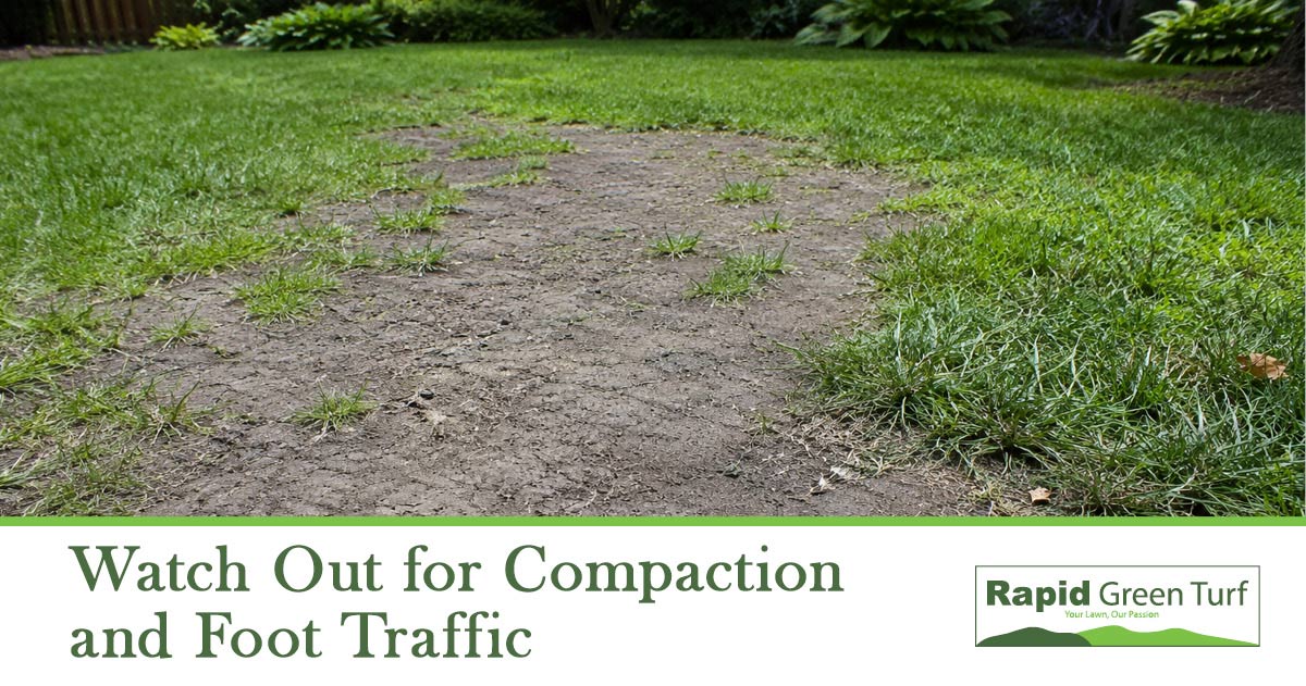 RGT-Blog-Post-Winter-Kikuyu-Lawn-Care-7