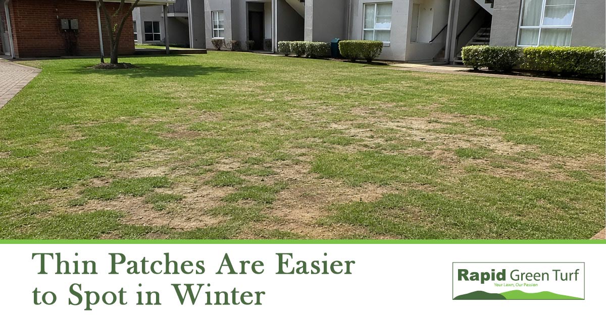 RGT-Blog-Post-Winter-Kikuyu-Lawn-Care-8